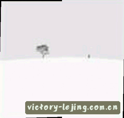 张涛